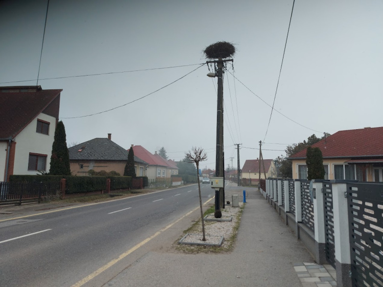 Jöhetnek a gólyák! - Felülvizsgálták a fészkeket