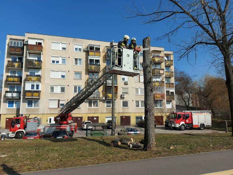 Fogadjunk, hogy erre nem számított! - Mutatjuk mit történik az Árpád utcán