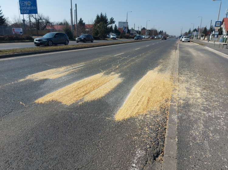 Szemes takarmány borította az utat                                       