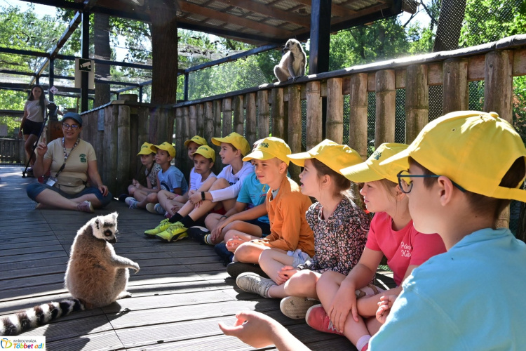 Véget ért a ZOO-Suli – Négyszáz gyermek gazdagodott életre szóló élményekkel a Nyíregyházi Állatpark nyári táborában