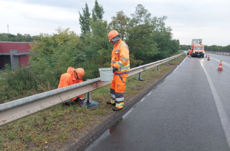 A vadnövényzet terjedését gátolják a kihelyezett védőtálcák