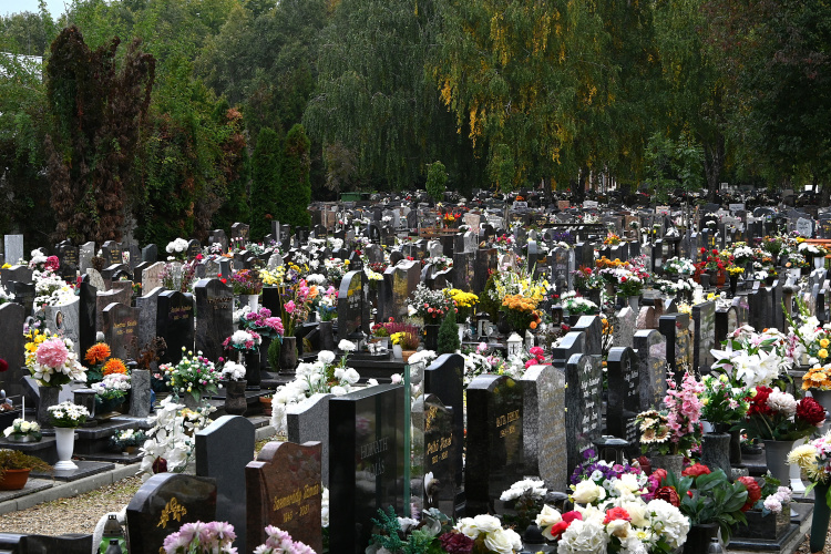 Felkészültek a mindenszenteki forgalomra az Északi temetőben