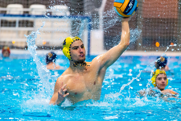 Két szép győzelem hazai pályán                                  