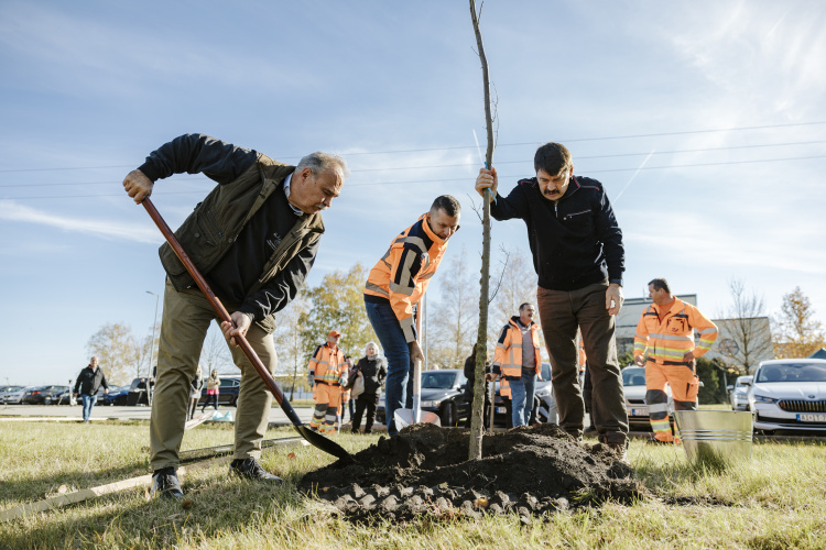 Új konstrukcióban zöldülnek a közutak menti területek