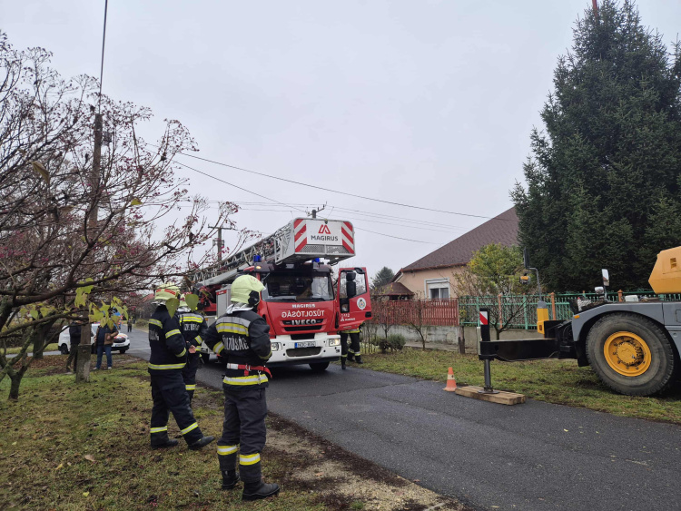 Érkezik a város fenyőfája! – A Nyitra utcán kivágták, délutánra mára Kossuth téren áll