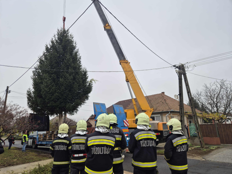 Érkezik a város fenyőfája! – A Nyitra utcán kivágták, délutánra mára Kossuth téren áll