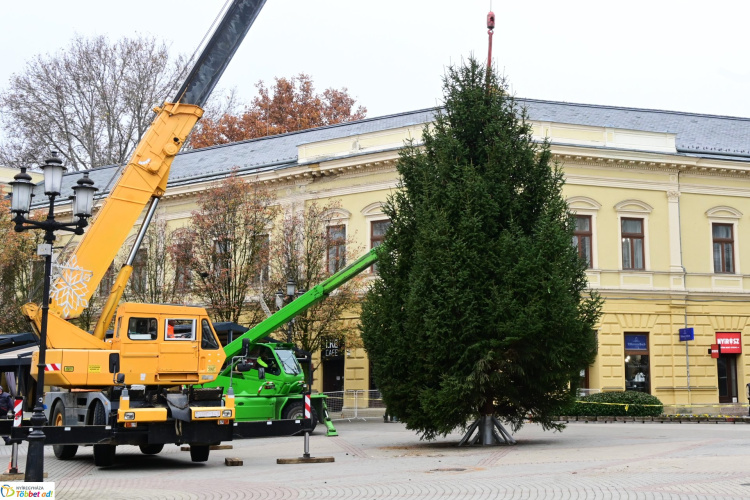 Már a Kossuth téren áll a város karácsonyfája – A Kertvárosból érkezett a 11 méteres lucfenyő