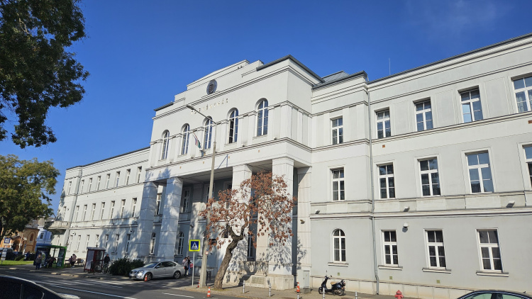 Téglával támadtak a 77 éves férfira – előzetesbe kerültek a kegyetlen támadók