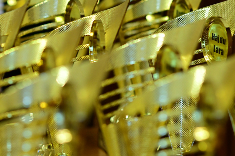 A vármegye is jutalmazta a diáksportolókat