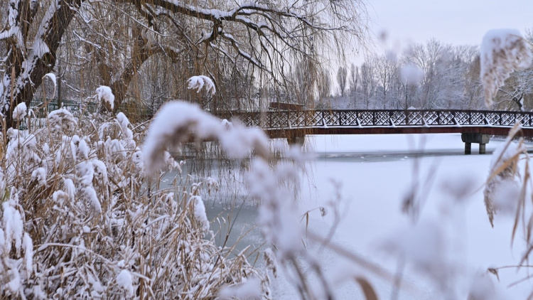 Csúszásveszély – Fokozottan figyeljünk az utakon magunkra és egymásra!