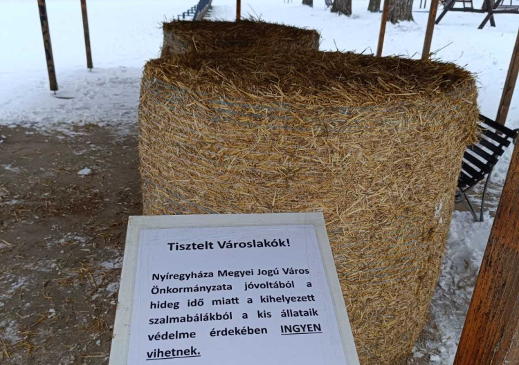 Vörös kód a hideg miatt: ingyen szalmával segítik az állattartókat Nyíregyházán