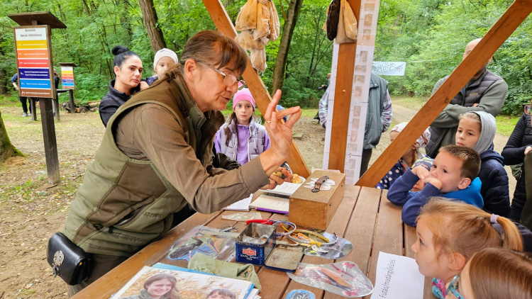 Több mint 11 ezer látogató a nyíregyházi erdei iskolában