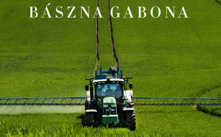 Nem maradnak magukra a gazdák: segítséget kapnak a Bászna Gabona Zrt. miatt bajba jutott termelők