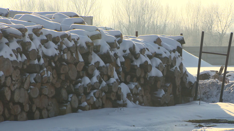 Folyamatosan osztják a tűzifát a rászoruló nyíregyházi lakosoknak