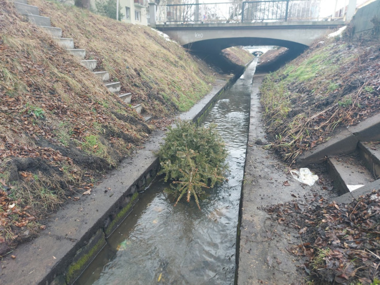 Mindent beledobálnak az Ér-patakba       