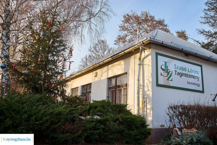 Új együttműködések a természetközeli nevelésért Sóstóhegyen