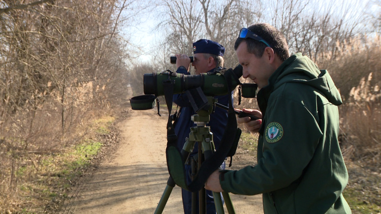 Járőrözés a Rétközben – Összefogás a ragadozómadár-mérgezések visszaszorítása érdekében