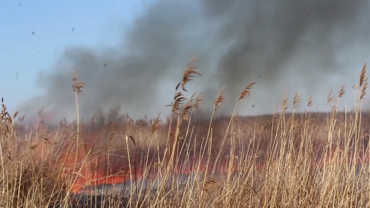 Szabadtéri tüzek – Szabályok, kockázatok, melyek figyelmeztetésként szolgálnak