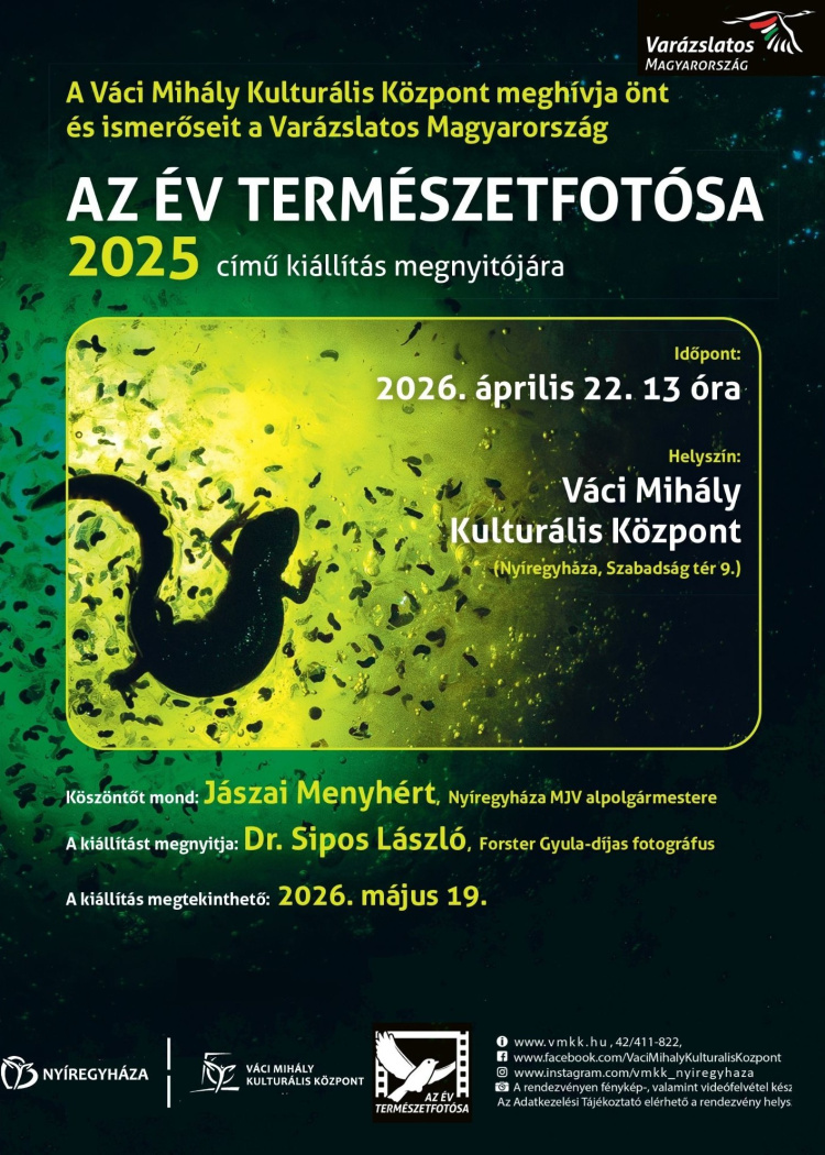 A természet legszebb pillanatai érkeznek Nyíregyházára – megnyílik „Az év természetfotósa 2025” kiállítás