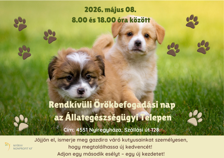 Rendkívüli örökbefogadási napot tartanak Nyíregyházán