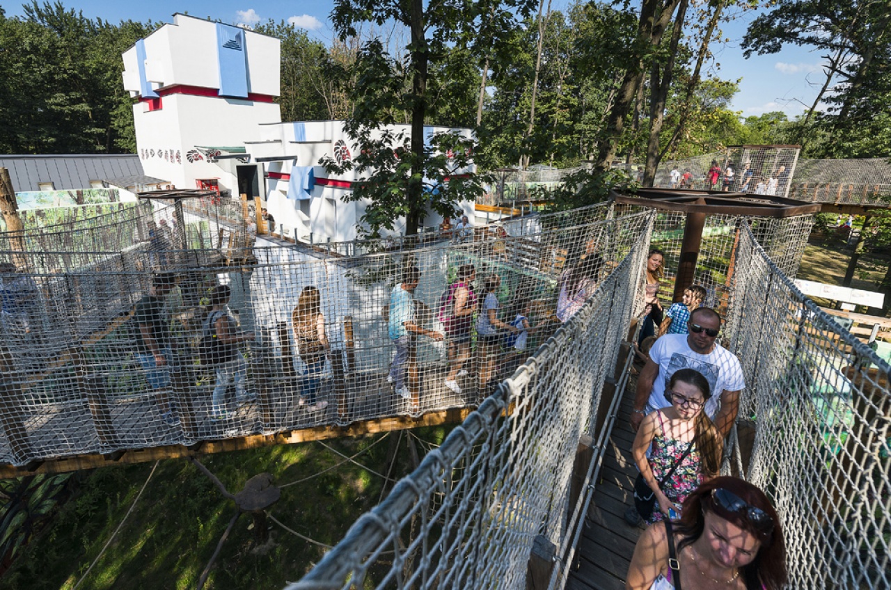 Kedvezményes belépés az Állatparkba szombaton