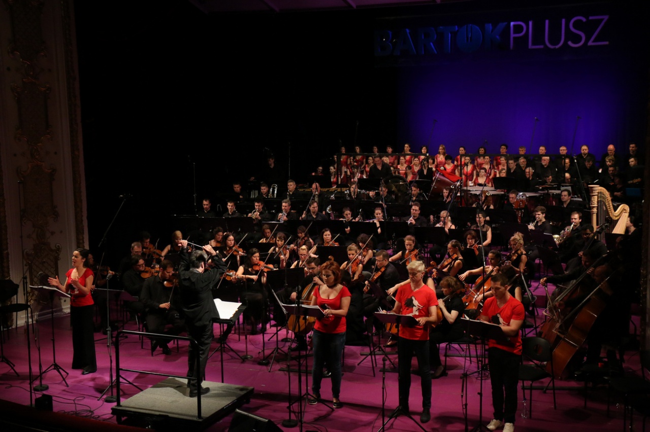 Basszusgitár és szintetizátor – egy színpadon a Cantemus Vegyeskarral 