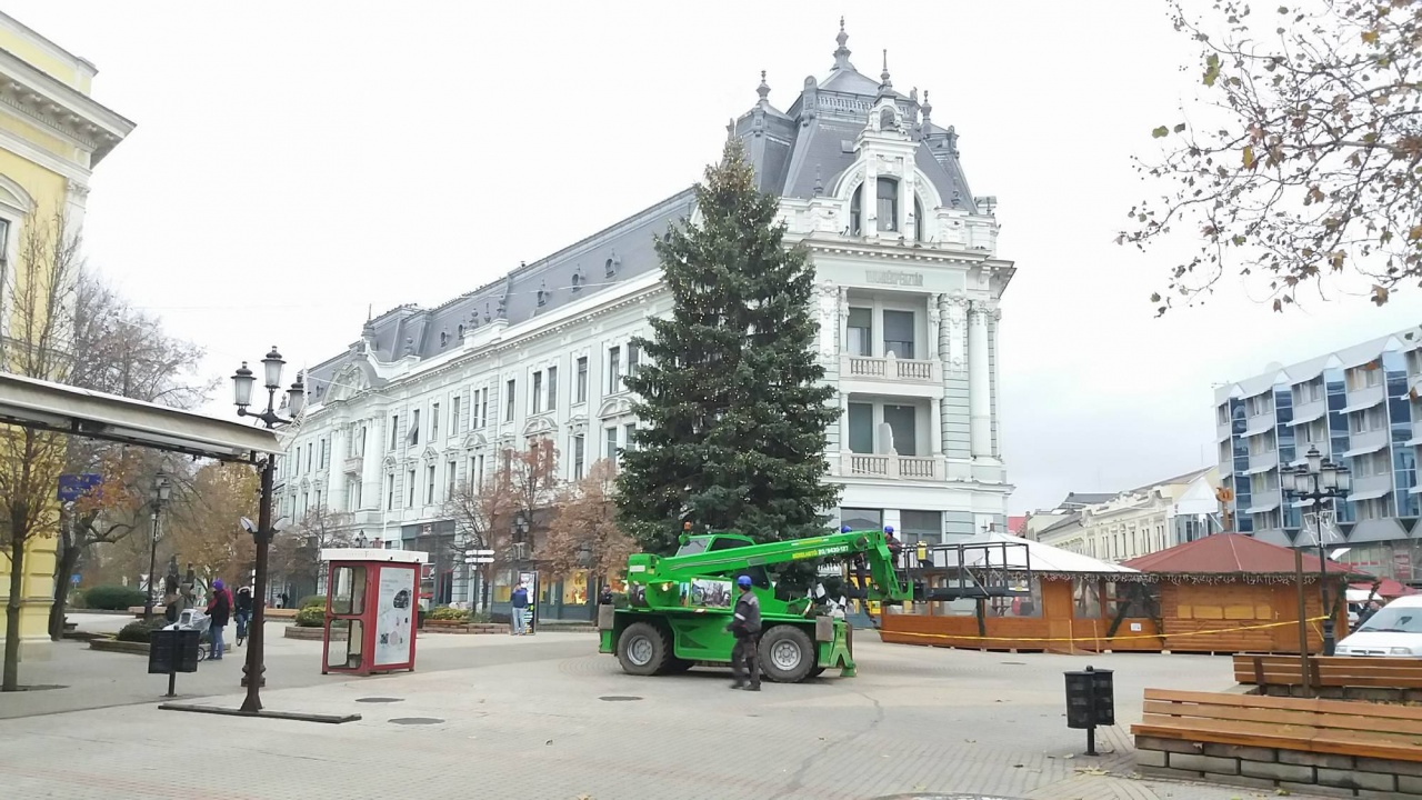 Felkerült a fényfüzér Nyíregyháza fájára 