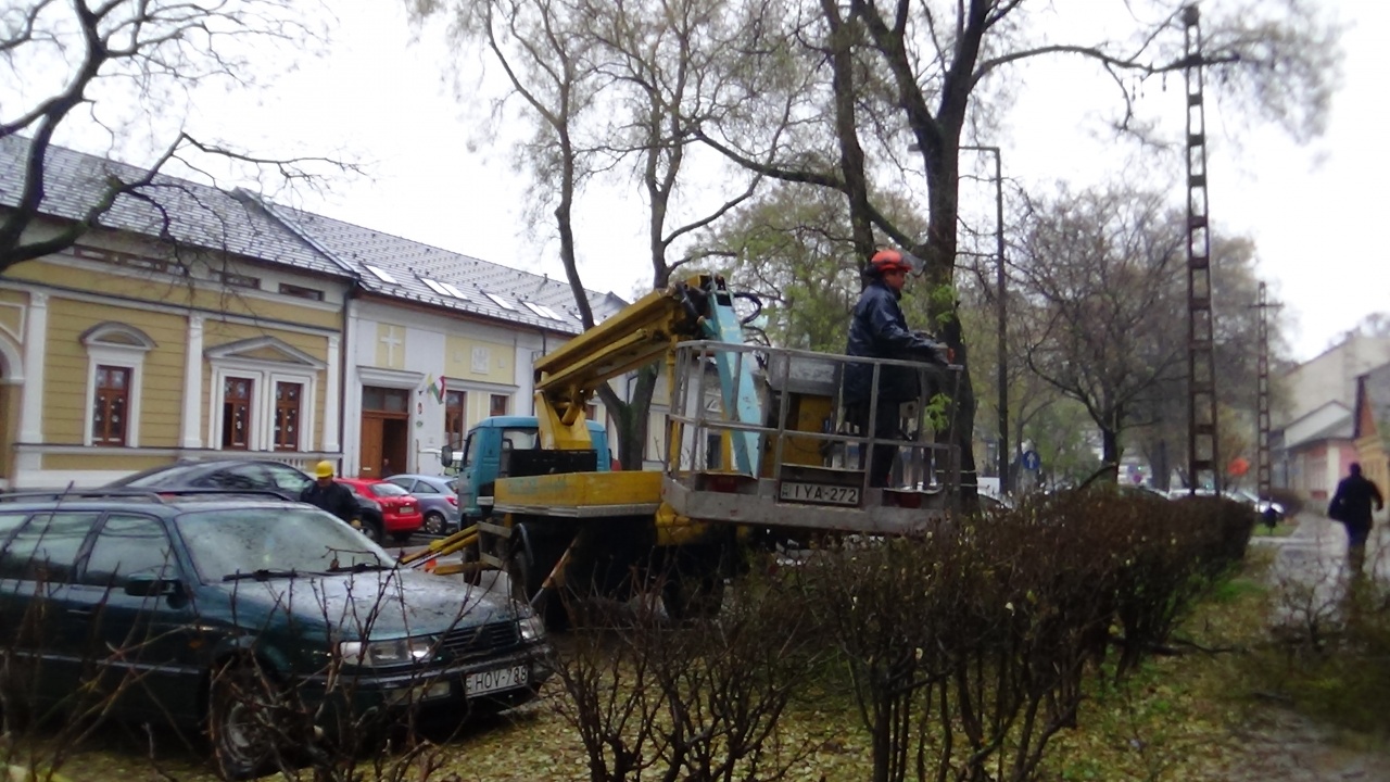 Fagallyazási munkálatokat végeznek a Szarvas utca belvárosi részén