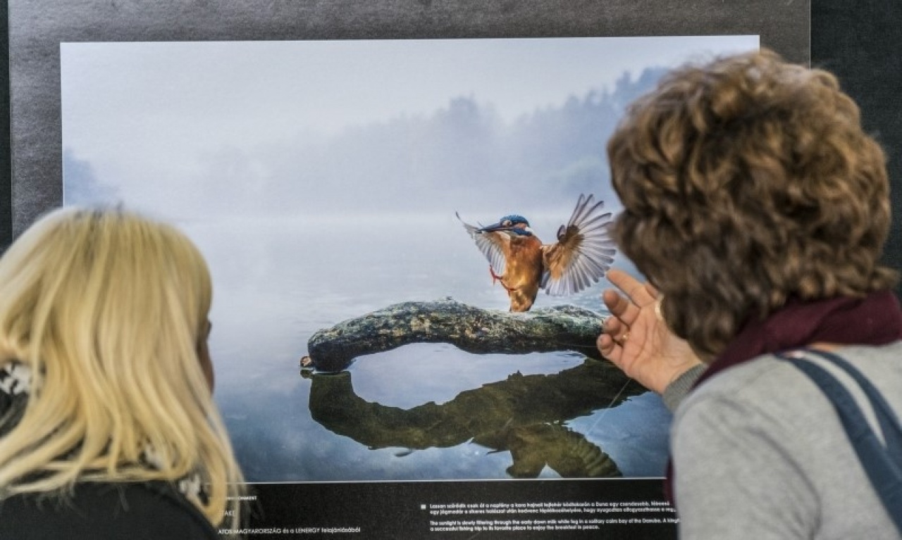 A legjobb természetfotók láthatók Nyíregyházán