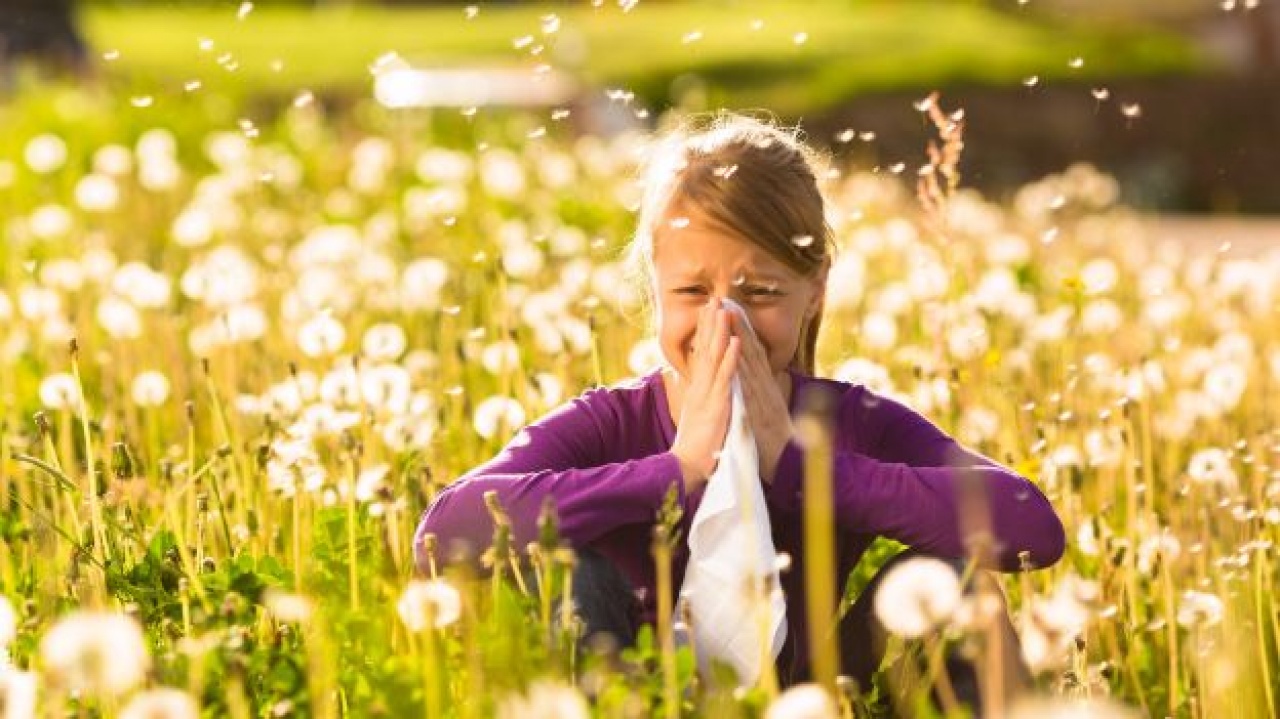 Berobbant az allergia szezon – Szinte egyszerre virágoznak a fák