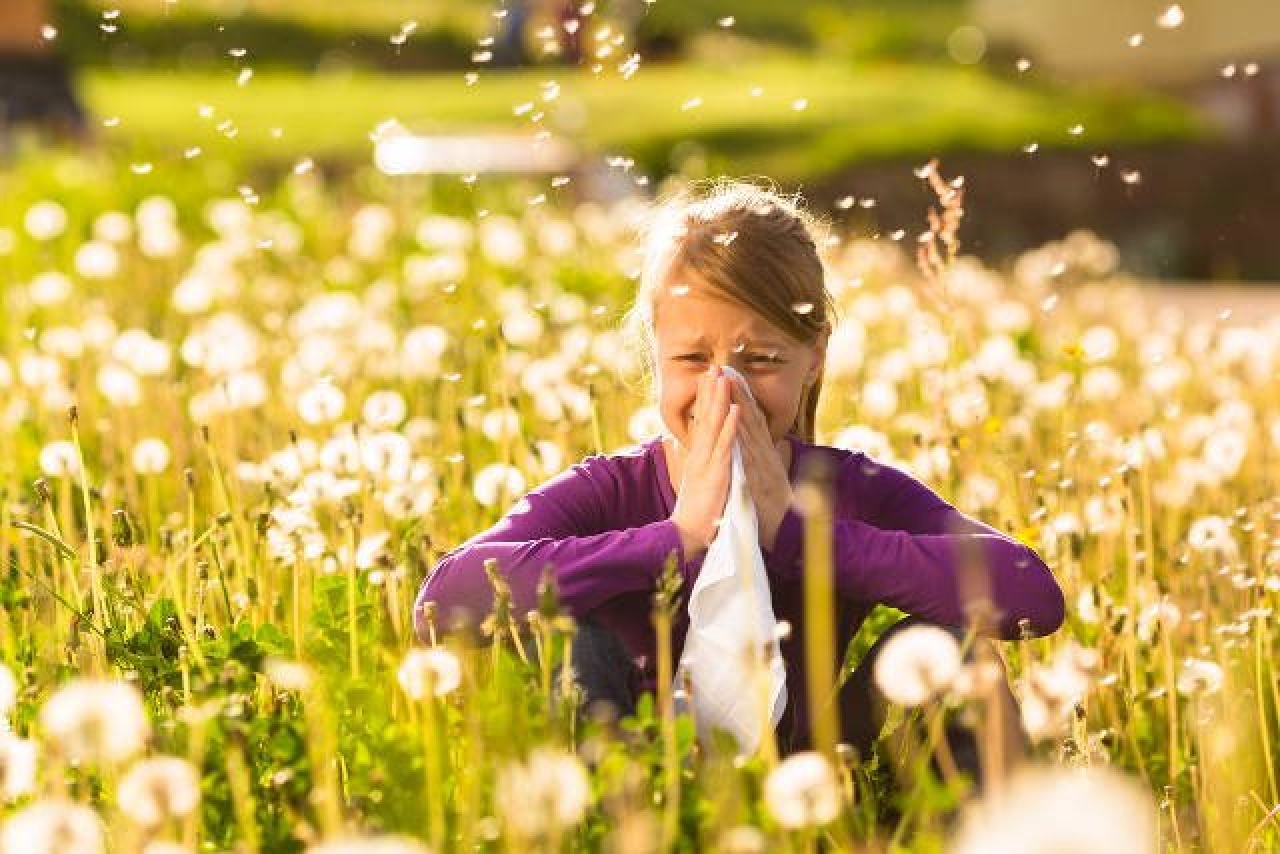 Kötőhártya-gyulladást is okozhat a parlagfű-allergia